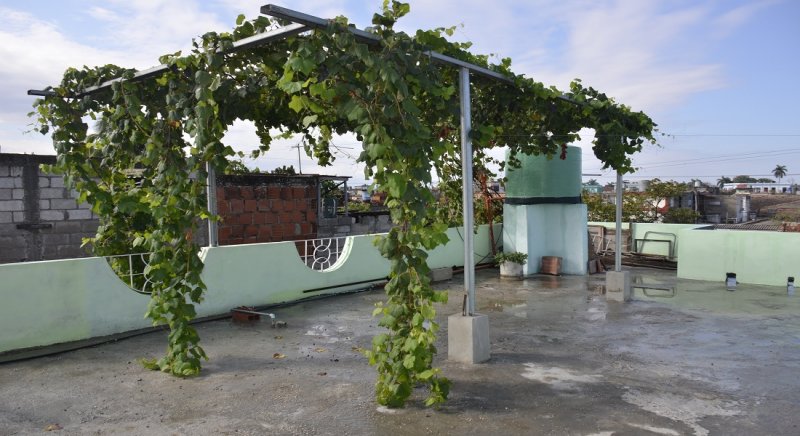 JARDIN, Villa "La Nueva" Hospedaje en Bayamo (Cuba) 3