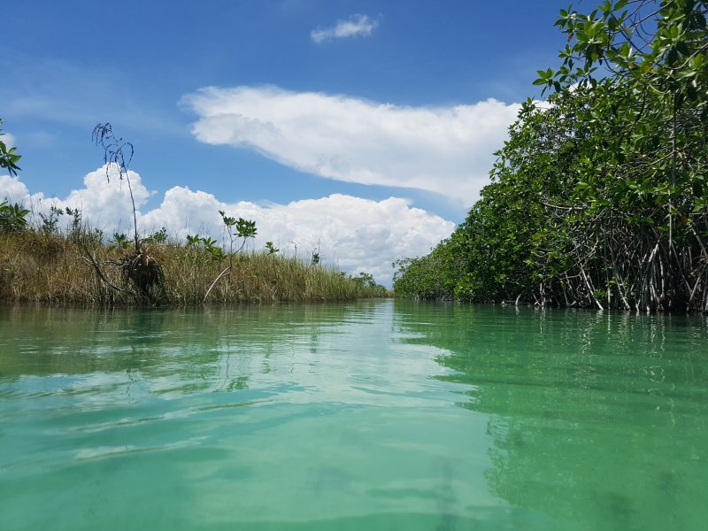 canal, Sian Ka´an  desde Muyil - Excursiones 1