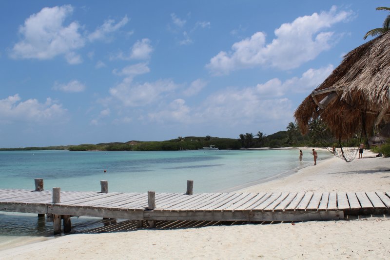 Isla Contoy - Riviera Maya, como ir, excursiones 0