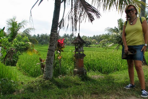 Viajar a Ubud: Que Ver y Excursiones - Bali, Indonesia