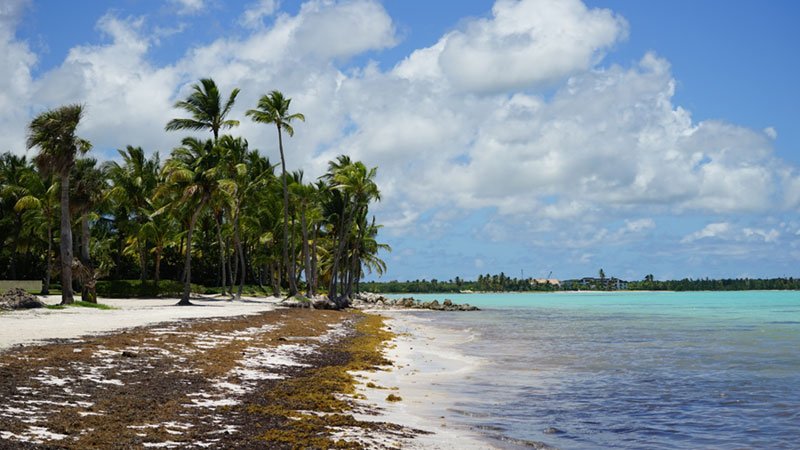 Playas de República Dominicana 0