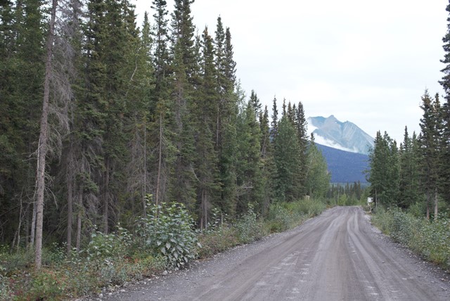 McCarthy Road, Denali Hwy en Alaska: estado, recomendaciones