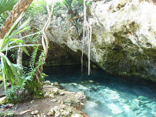 Gran Cenote, excursión en Riviera Maya 0