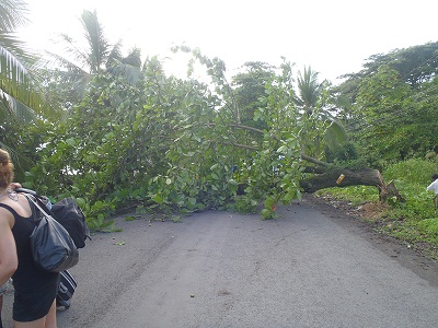 Cortan los arboles de al lado de la carretera ,como se puede ver, CARRETERAS CORTADAS EN PUERTO VIEJO!! - Costa Rica