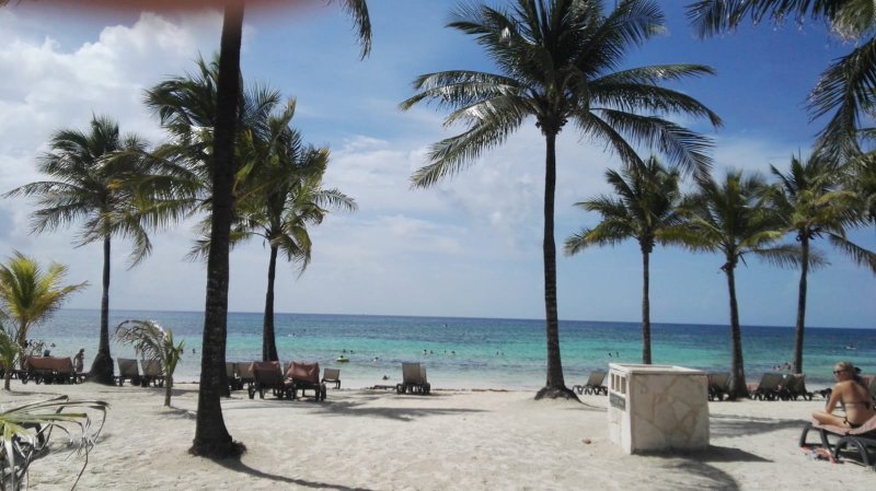 Hotel Barceló Maya Caribe y Maya Beach. Riviera Maya