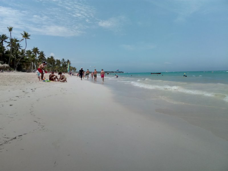 Algas (Sargazo) en playas de Punta Cana y Rep. Dominicana