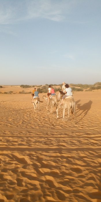 lago Rosa  /Desierto de lompoul, Guia profesional organizador de viajes a en Senegal y Gambia