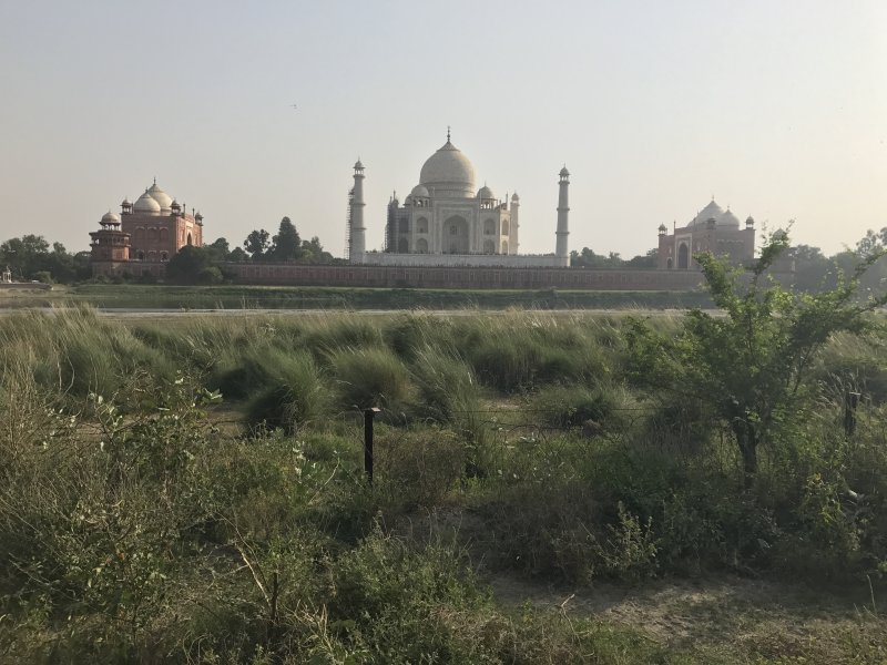 Esta es la máxima perspectiva que se tiene por detrás, Taj Mahal - Agra (India)