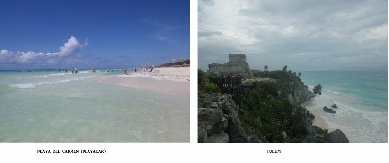 Archivo 09/10/2018 - Algas en las playas de Riviera Maya (México)