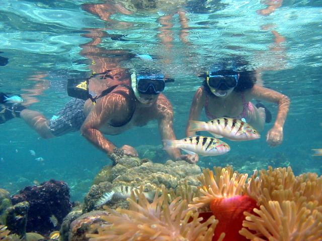 Jardín de coral en Tahaa. Excursión Bruno Fabre., Isla de Tahaa: hoteles, excursiones, comer - Polinesia 1