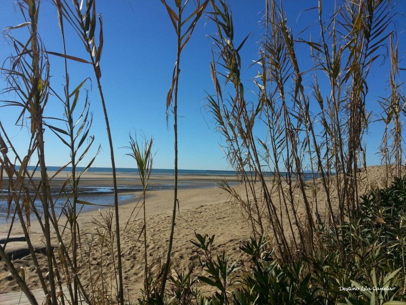 Vacaciones en Isla Canela - Ayamonte, Huelva