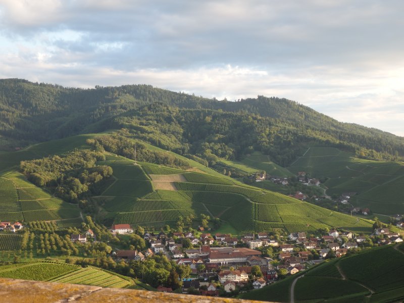 Selva Negra y Lago Titisee: Rutas, Que Visitar -Alemania