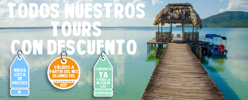 Vive Mayan Tours - Circuitos y Excursiones en Riviera Maya