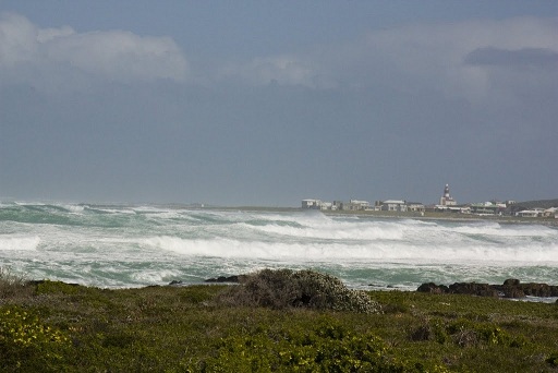 estado del mar a principios de Septiembre, Gansbaai, ver al GRAN TIBURÓN BLANCO en Sudáfrica 0