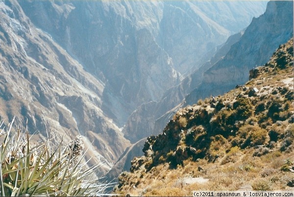 Cañon del Colca
Vista del Cañon del Colca, uno de los mas impresionantes del mundo.
