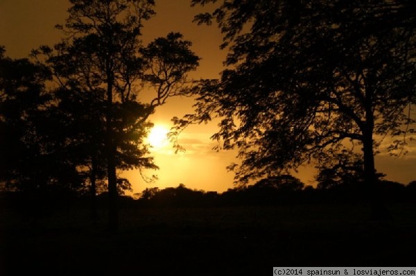 Puesta de sol en Guanacaste
Puesta de sol en las llanuras de Guanacaste
