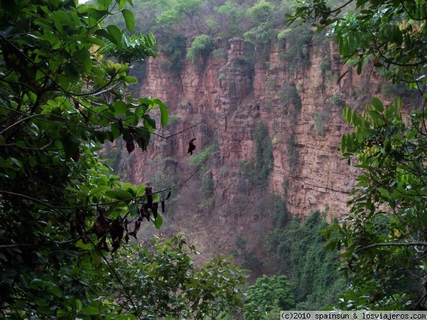 Paisaje de la frontera con Guinea
Paisaje en el Pais Bassari, cerca de la frontera de Guinea y de la cascada de Dindiferlo.
