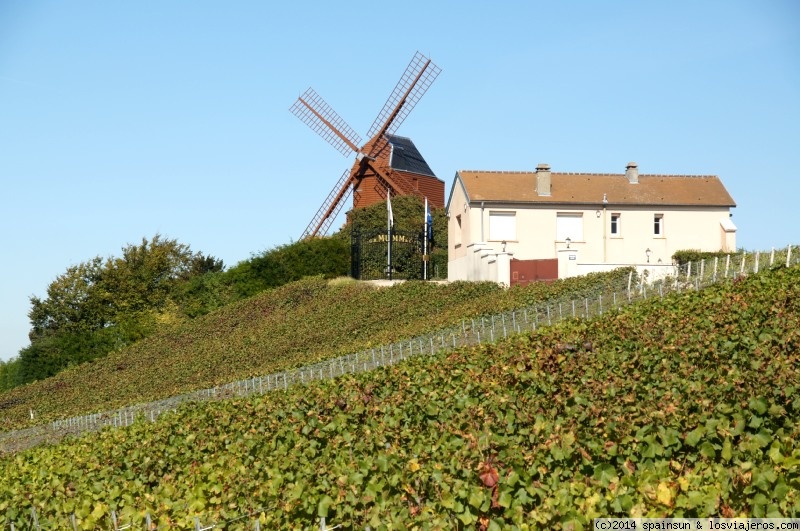 Moulin de Verzenay - Champaña - Grandes Viñedos de Francia - Foro Europa