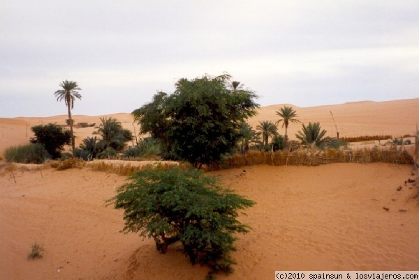 Oasis en medio de las dunas
Oasis en medio de las dunas, cerca de Chingetti.
