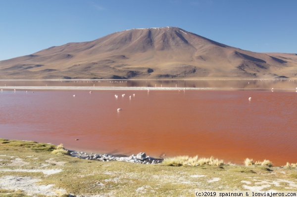 Laguna Colorada - Reserva Andina de Eduardo Avaroa
Vista de la Laguna Colorada uno de los principales atractivos de la Reserva Andina de Eduardo Avaroa
