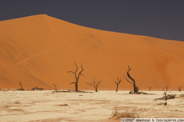 Deadvlei - Sossusvley, Sesriem, Parque Nacional del Desierto del Namib
Tétrico paisaje del Dead Vlei, con sus arboles fantasma. La duna del fondo es Big Daddy que con sus 325m es una de las dunas más altas del mundo.
