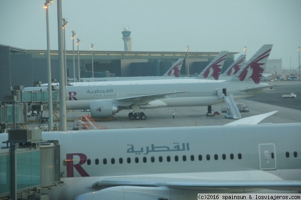 Aeropuerto de Doha, pistas con aviones de Qatar Airways
Aeropuerto Internacional de Hamad es el único aeropuerto internacional de Qatar y el segundo más importante del Golfo Pérsico, inaugurado en 2014. Hub de la aerolínea Qatar Airways.
