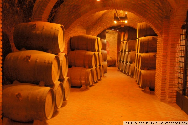 Bodegas Yllera -Rueda- Ruta del Vino de Rueda
Otra bodega excavada tradicional que se ha convertido en atractivo turístico es la de las Bodegas Yllera en Rueda. Al laberinto de cuevas vistables, le han dado un nombre mitológico y relacionado con el vino: el hilo de Ariadna.
