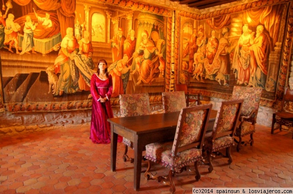 Visita guiada por el Château de Couches - Borgoña
La visita guiada se puede hacer en francés o inglés. El castillo esta decorado con muebles de la época y bellos tapices. La construcción data de los siglos XI al XIX.
