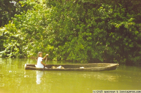 Una niña en una canoa remando por el Río Dulce
Una niña en una canoa remando río arriba. La zona del rio Dulce es un bello paisaje selvático, solo cortado por las aguas del propio río.
