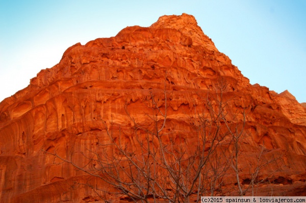 Naranja intenso en Wadi Rum
El desierto y las paredes de las montañas cambian de color a lo largo del dia... en este caso una montaña de color naranja intenso.
