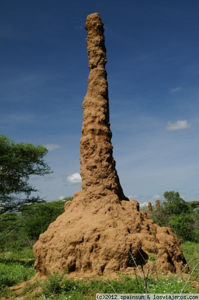 Termitero gigante - Africa
Termitero gigante en el valle del rio Omo.
