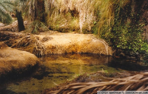 Oasis de Terjit
El famoso oasis de Tergit, situado en un cañón entre montañas. En la imagen una charca de agua, el tesoro mas codiciado del desierto.
