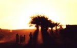 Niños jugando - Campamentos de Refugiados de Tindouf