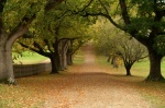 Jardines de Port Arthur