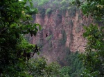 Landscape of the border with Guinea