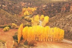 El Otoño en todo su esplendor - Hoces del Río Gritos - Cuenca