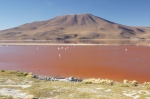 Laguna Colorada - Reserva Andina de Eduardo Avaroa
Bolivia, Eduardo Avaroa, Laguna altiplánica, Laguna, Laguna colorada