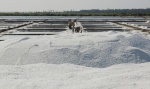 Salinas en Tamil Nadu