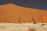 Deadvlei - Sossusvley, Sesriem, Parque Nacional del Desierto del Namib