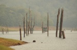Paisaje en el lago de Periyar -Kerala