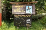 Top famous route of the Quetzales - Volcan Baru Boquete-