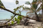 Playa en Cayo Zapatilla - Bocas del Toro
Panamá, Bocas del Toro, Cayo Zapatilla