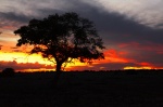 Atardece en Etosha - Okaukuejo Camp