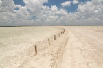 Camino en el Pan de Etosha