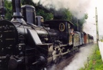 Steam locomotive beside Lake Balaton