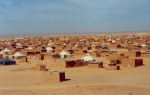 Campamentos Saharauis...