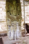 Estela en Copán
Estela, Copán, maya, sitio, arqueológico