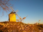 Molinos de Viento -Belmonte- Cuenca