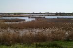 Las Tablas de Daimiel llenas de agua