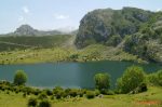 Lagos de Covadonga - Picos...